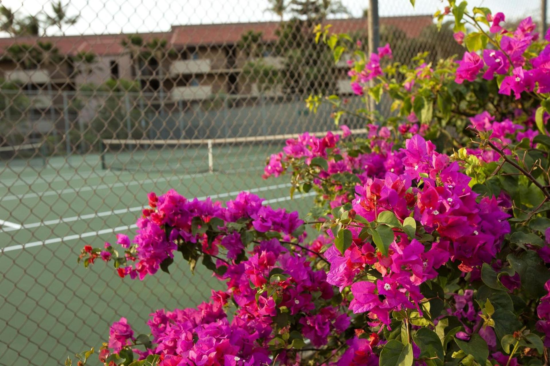 Maui Vista By Coldwell Banker Island Vacations Apartment Kihei Bagian luar foto