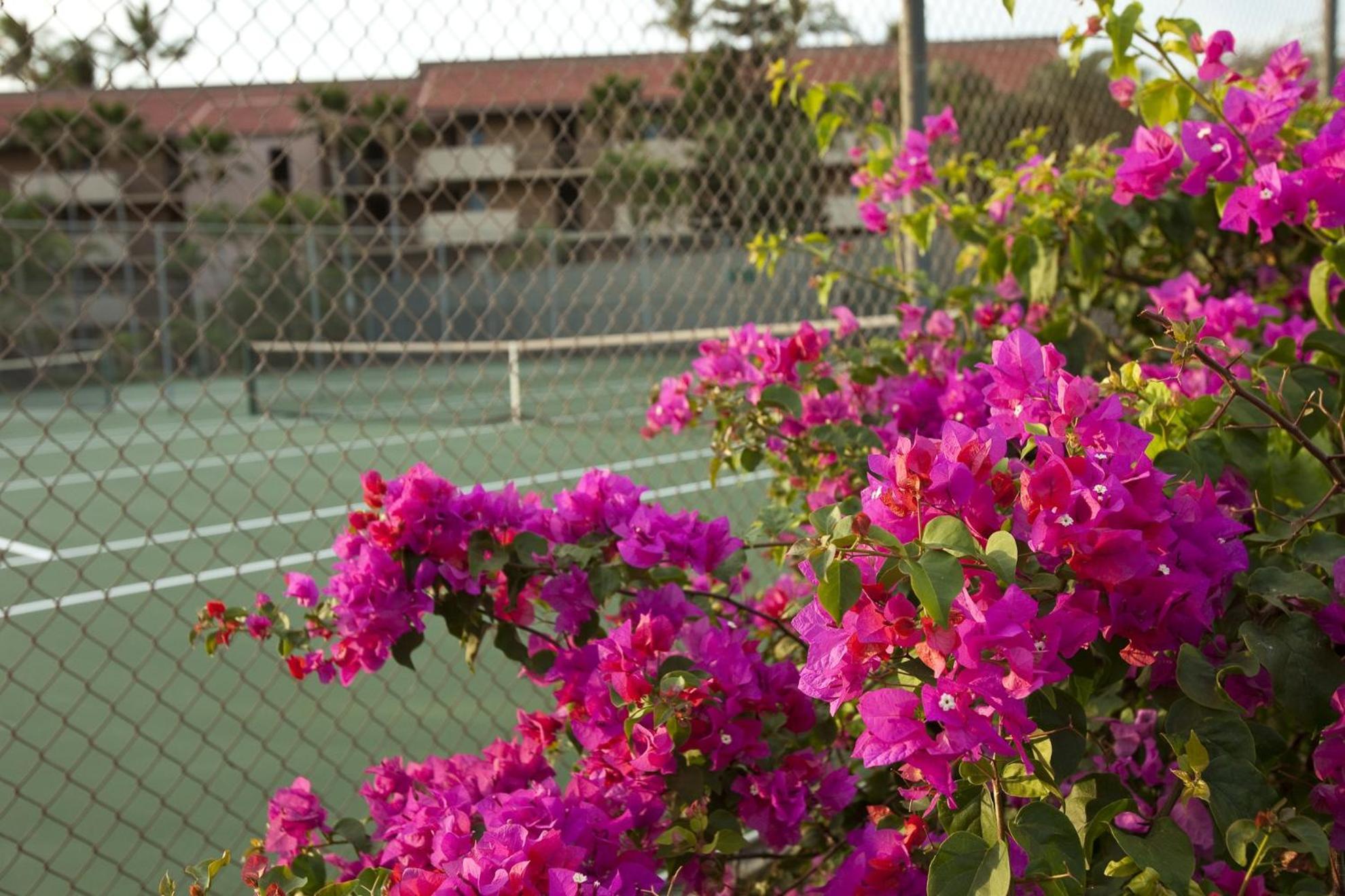 Maui Vista By Coldwell Banker Island Vacations Apartment Kihei Bagian luar foto
