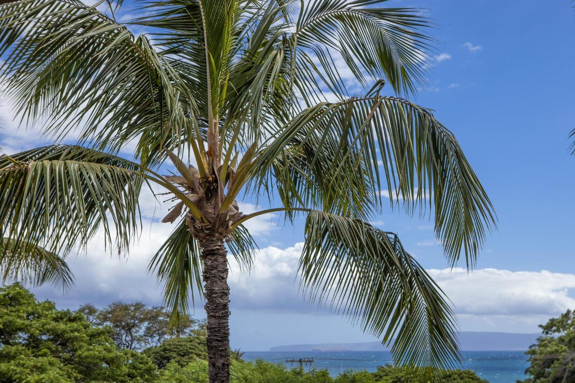 Maui Vista By Coldwell Banker Island Vacations Apartment Kihei Bagian luar foto